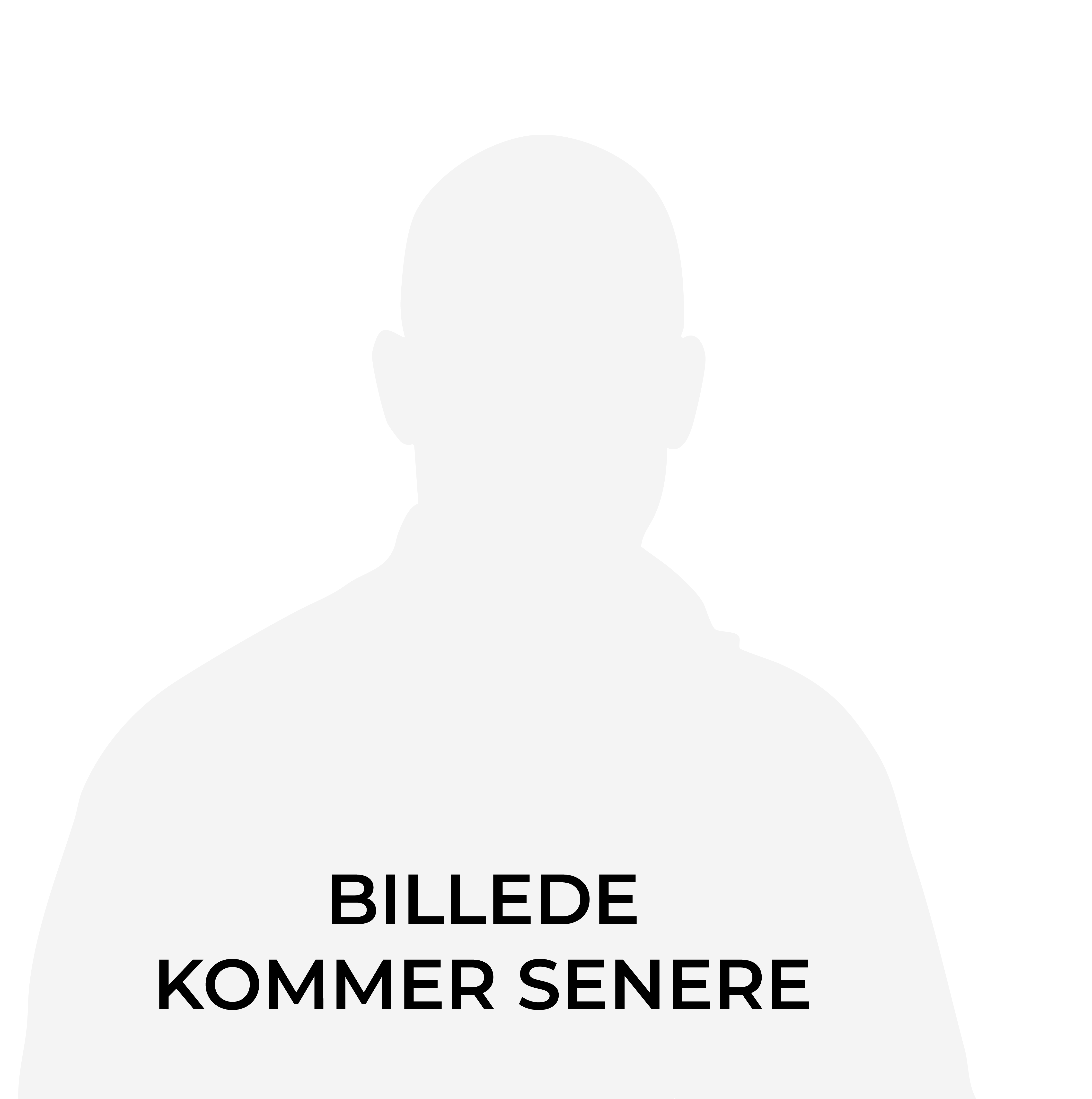 Nikolaj B. Andersen, 3N Lakering